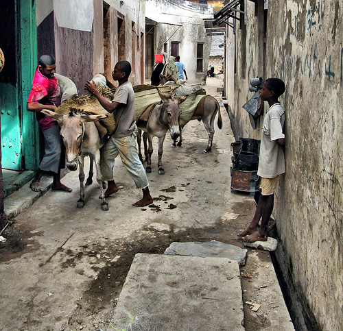 Lamu Street, East Africa by sobloodywhat