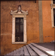 Roma 2008