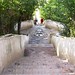 Escalera del agua Generalife