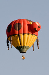 Balloons Over Chatfield 2008