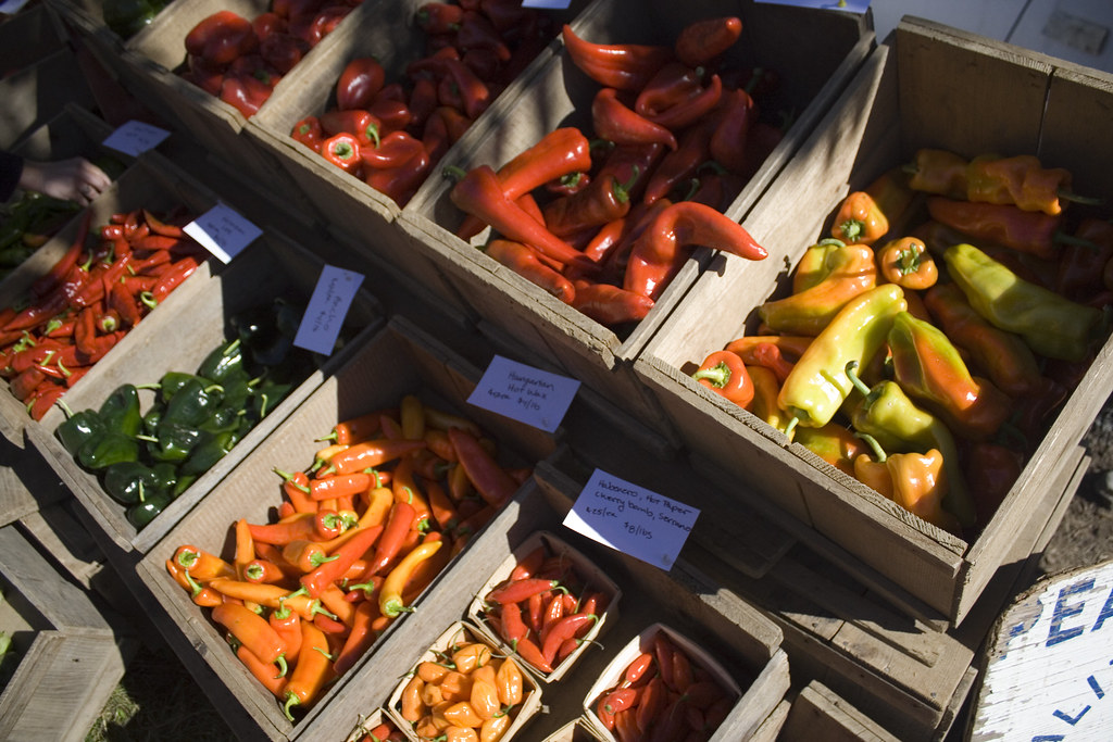 Colorful peppers. Common Ground Fair - by Matt Pettengill, on flickr