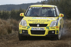 Pirelli International Rally (2008)