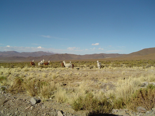 Valles Calchaquìes, los tesoros del norte argentino by HugoRep