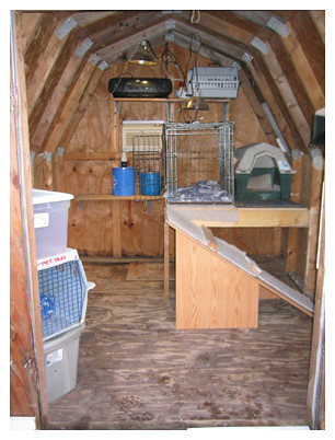 Mobile Home Remodeling    on Recent Photos The Commons Getty Collection Galleries World Map App