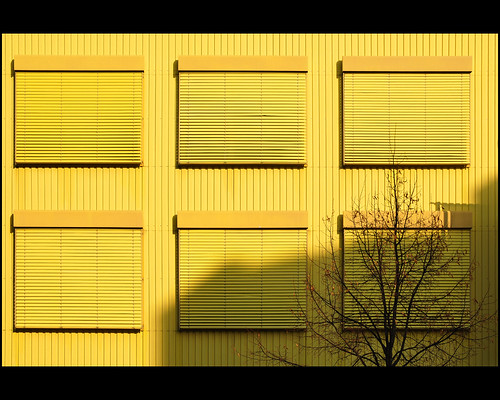 urban yellow, autumn by Dreamer7112