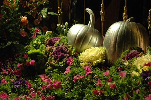 Cinderella's Silver Halloween PUMPKINS in a Bed of Pink Flowers and decorative cabbage, Roses, brass bed frame, Mill Rose Inn, Half Moon Bay, California, USA by Wonderlane