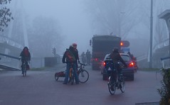 a foggy day 