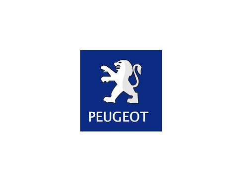 Vetor Logo Peugeot Esse Desenho Ai Foi Eu Que Desenhei no Programa 