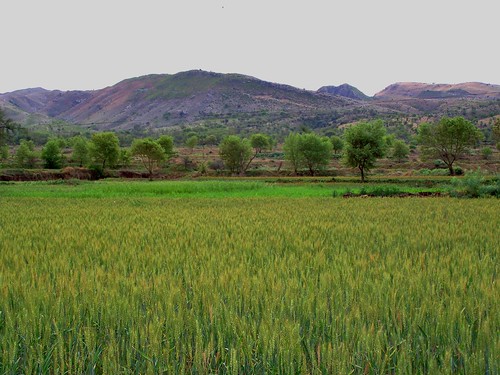 The Soon Valley, Khushab District, Punjab, Pakistan – April 2008