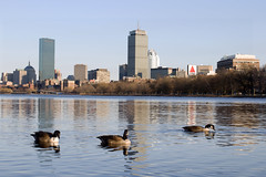 Boston - Skyline and random city photos