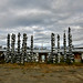 _MG_0545-hubcap-totems-champagne