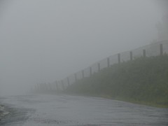 entre niebla // between fog
