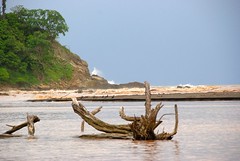 Nosara River Costa Rica