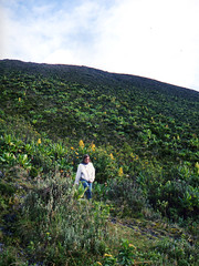 Nyiragongo Volcano Hike - 1994