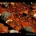 mineral-spring-red-iron-russia