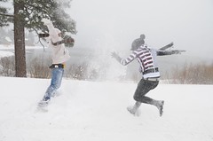 Snow Fun in Big Bear - December 17, 2008