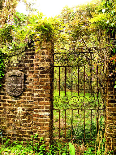 Forgotten Garden, Richmond Plantation