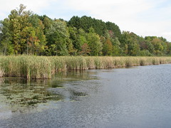 Beaver Pond, Kanata, Ontario