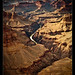 Grand Canyon (8)
