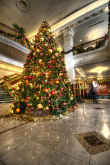 Stephen F Austin Hotel Christmas Tree