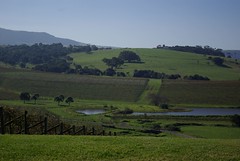 Events: Club46 Winery Tour - Gerringong