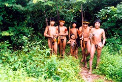 Indigenas Awa