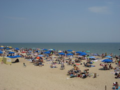 Delaware Shore 2008