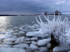 Freeze-up of the St. Lawrence River