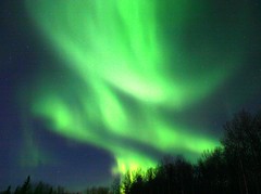 Alaska - Northern Lights