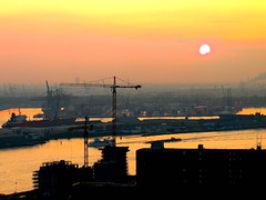 Port of Rotterdam / Euromast