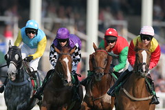 four jockeys on racing horses