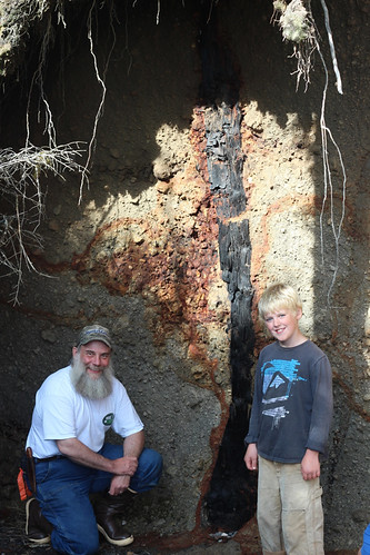 U.S. Forest Service geologist Jim Baichtal congratulates 11-year-old Blake LaPerriere for his discovery Sept. 9, 2013, of an ancient Sitka spruce tree buried by an eruption from Mount Edgecumbe volcano about 13,200 years ago. (Courtesy of Zach LaPerriere)