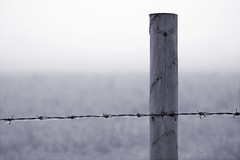 Post and barbed wire