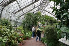 US Botanic Garden - Medicinal Plants