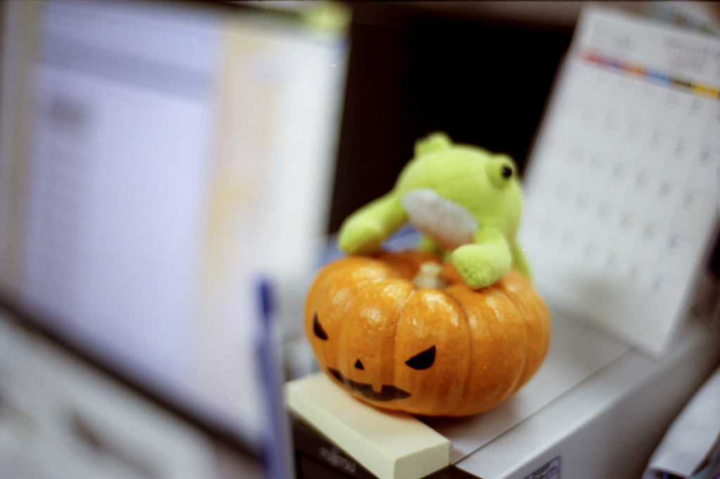 かぼちゃとカエル 2008/11/29 IMG_0020-1