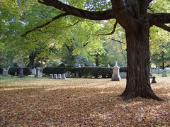 Mt. Auburn Cemetery, October 2008