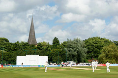Cricket at Horsham 2008