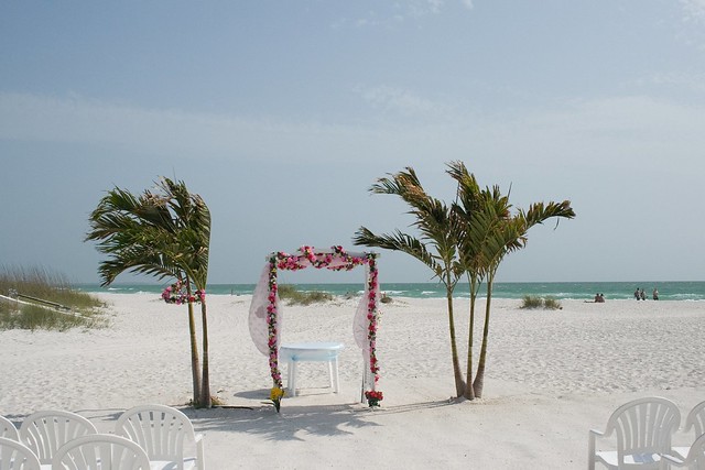 Wedding Trellis with Twin Palm Trees
