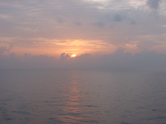 10/2008 Kanarische Insel Kreuzfahrt