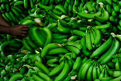 Banana Republic (Panama, Costa Rica, Colombia)