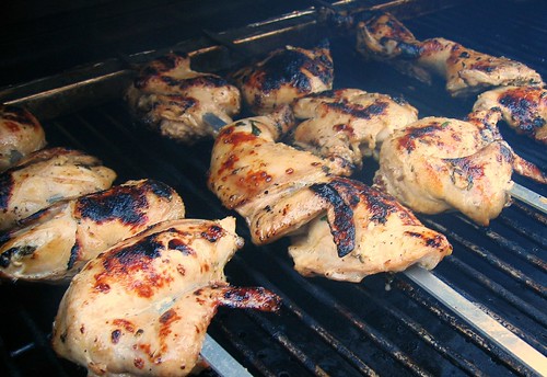 Joojeh kabab on the grill