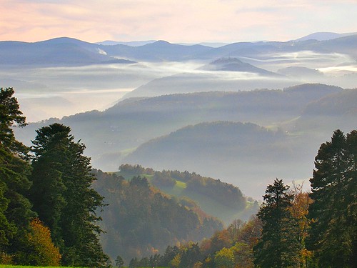The massif of Vosges in autumn