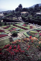 Funchal Botanical Gardens - Madeira 1994