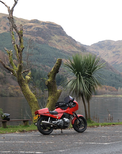 My RGS taking in the view over Loch Eck by keithnairn