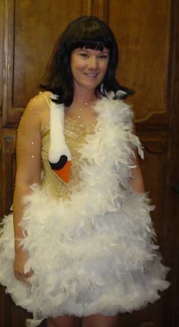 Bjork Swan Dress I made this for Halloween and it was a hit