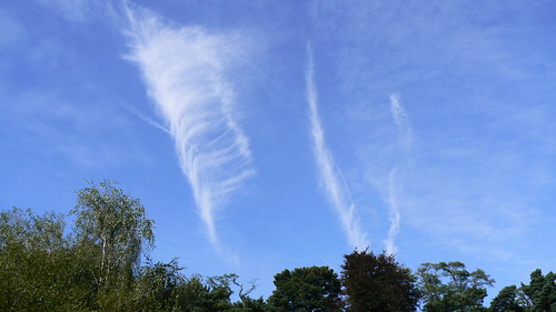Cloud feather