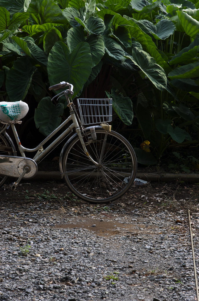 里芋と自転車