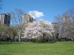 2008-04 US New York