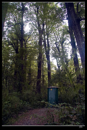 森林裡的廁所; Toilet in forest