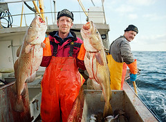 Fish-Work Norway